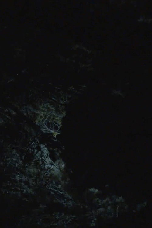 All the Planets in My Heart poster