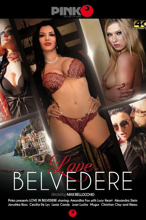 Love in Belvedere (2016) poster