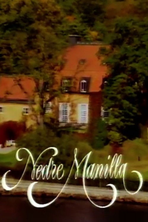 Nedre Manilla (1991) poster