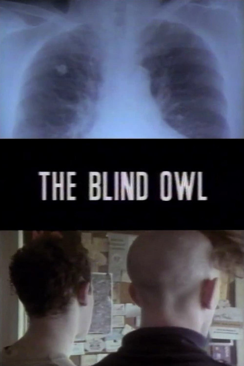The Blind Owl (1992) poster