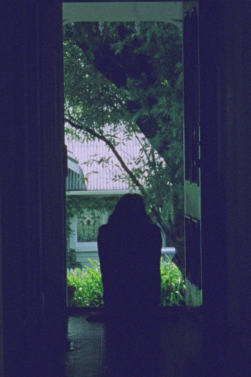 Aotearoa (2024) poster