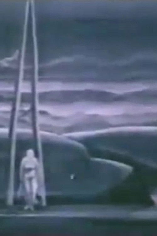 Night Bird (1975) poster