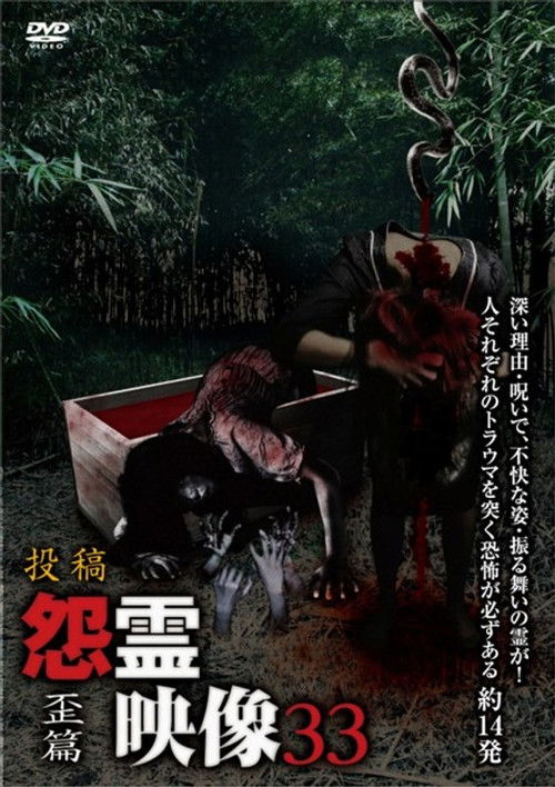 Posted Grudge Spirit Footage Vol.33: Distorted Edition (2017) poster