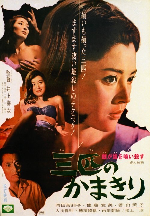 The Stronger Sex (1967) poster