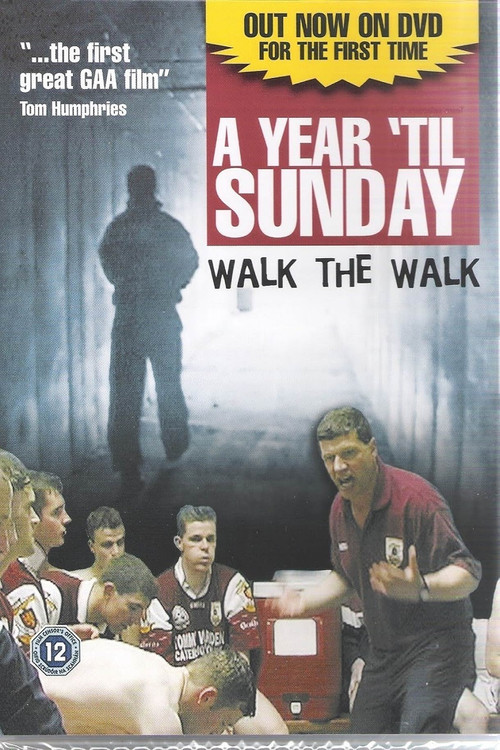 A Year 'til Sunday (1998) poster