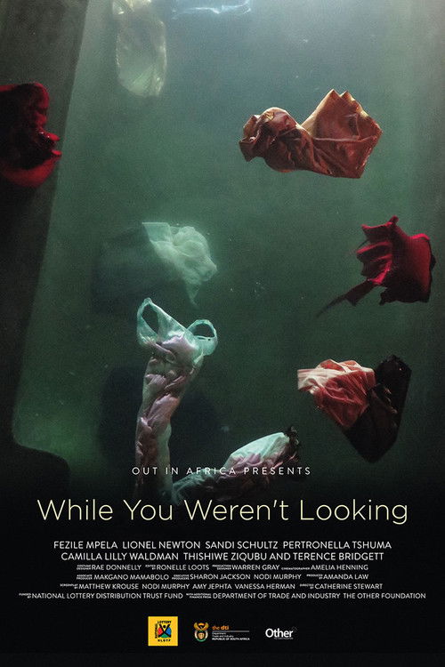 While You Weren't Looking (2015) poster