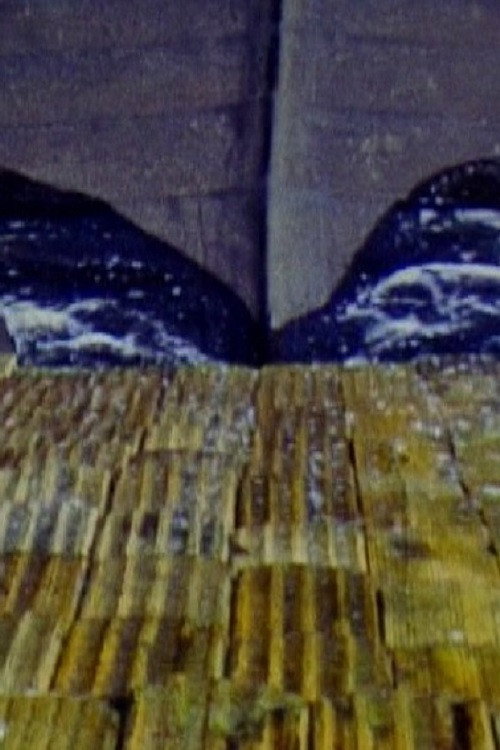 Water (1982) poster