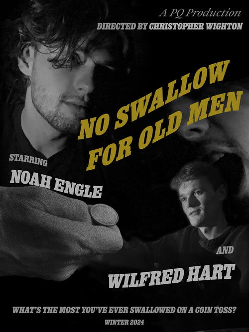No Swallow for Old Men (2024) poster
