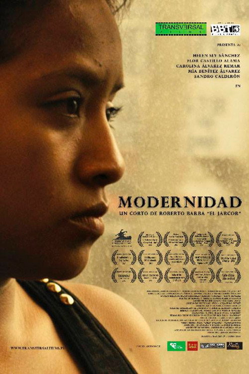 Modernidad (2014) poster