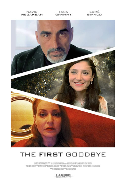 The First Goodbye (2021) poster
