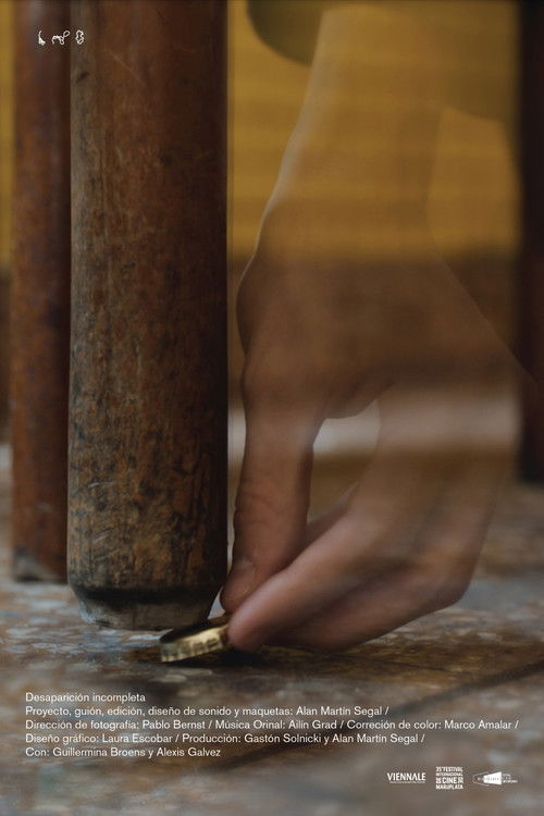 Incomplete Disappearance (2020) poster