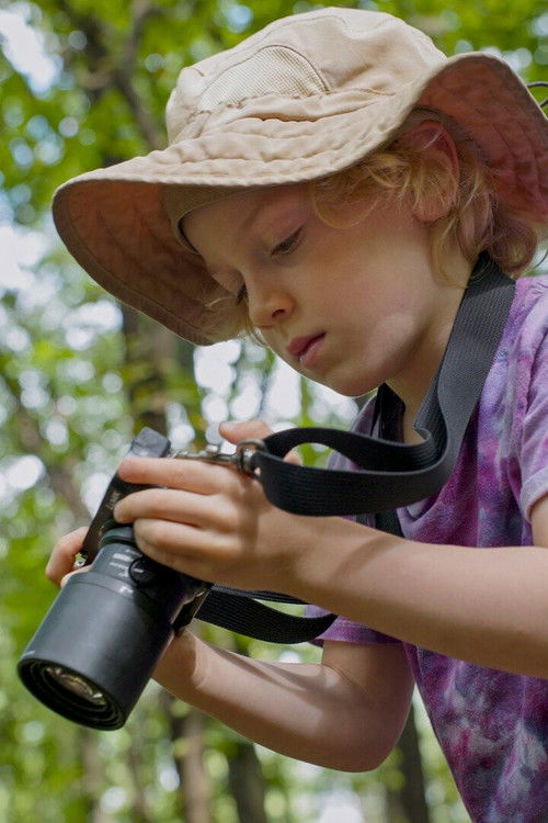 Aldo's Bug Extravaganza (2025) poster