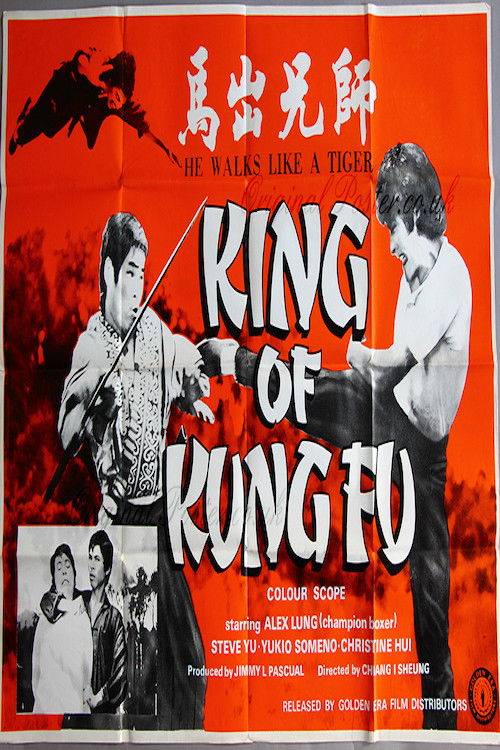 King of Kung Fu (1973) poster