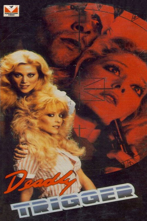 Deadly Twins (1985) poster
