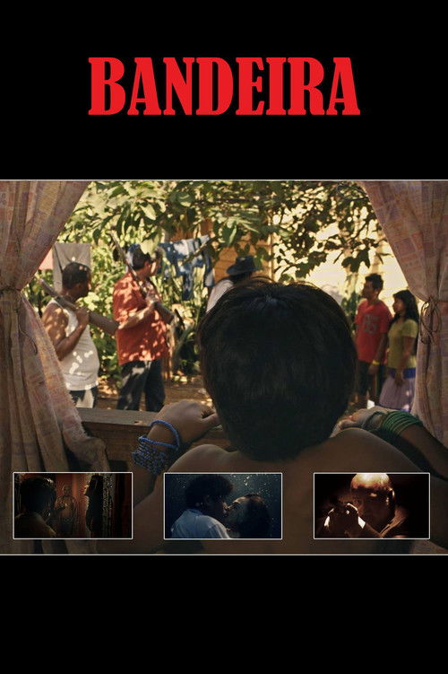 Four-Colored Banner (2016) poster