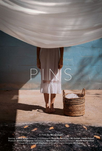 Pin (2025) poster