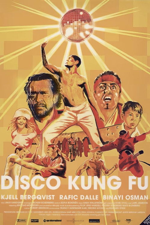 Disco Kung Fu (2002) poster
