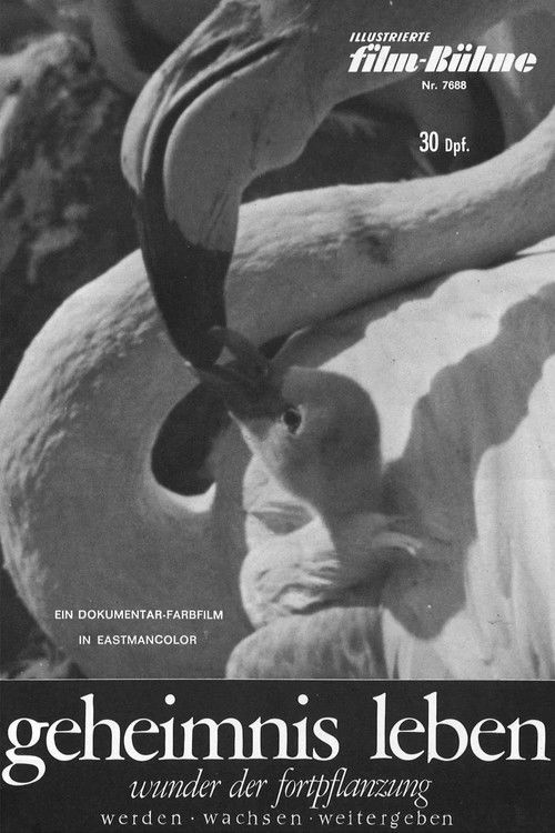 Geheimnis Leben - Wunder der Fortpflanzung (1966) poster