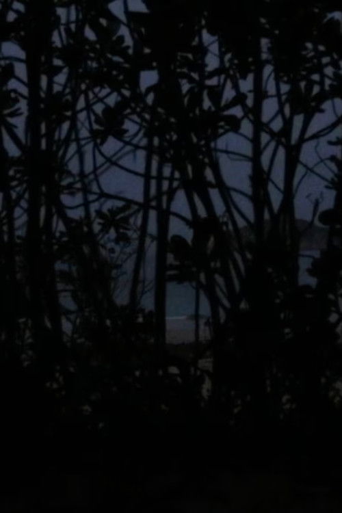 From the Void of Time (2024) poster