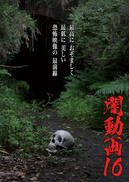Tokyo Videos of Horror 16 (2017) poster