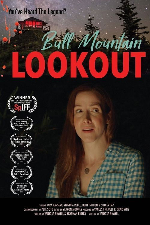 Bull Mountain Lookout (2018) poster