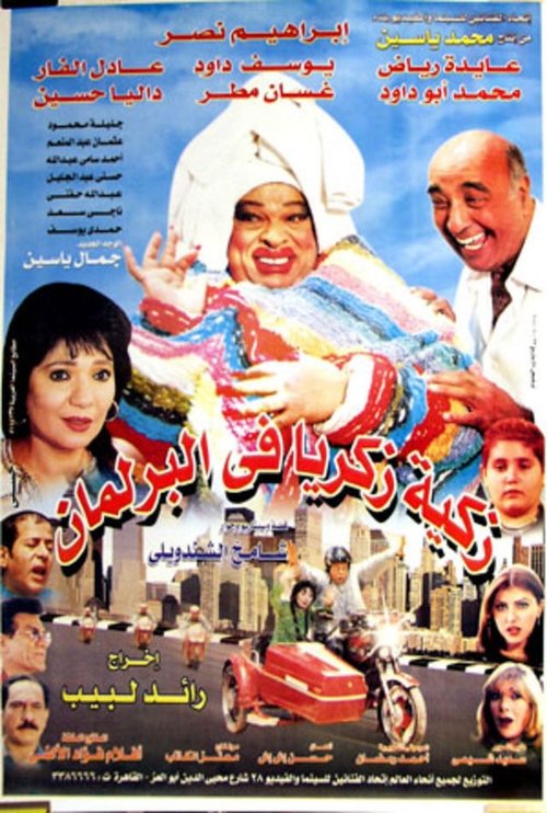 زكية زكريا في البرلمان (2001) poster