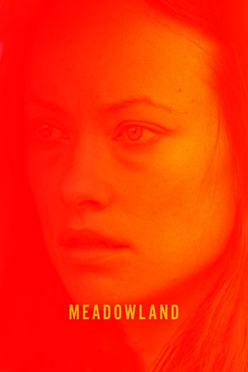 Meadowland (2015) poster