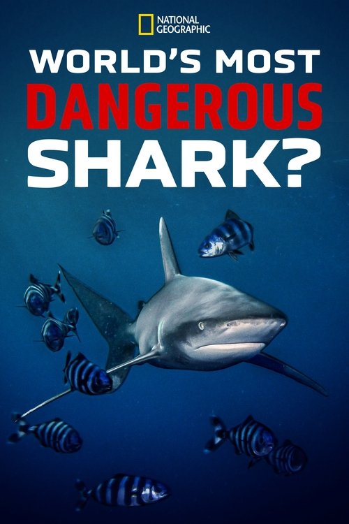 World's Most Dangerous Shark? (2021) poster