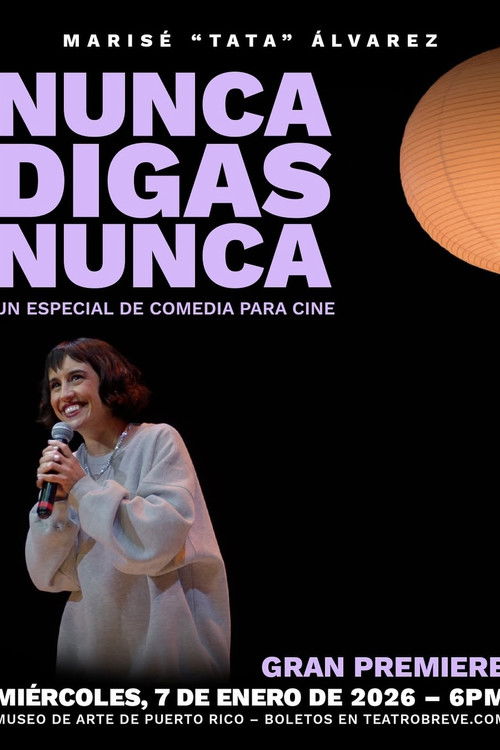 Nunca digas nunca (2026) poster