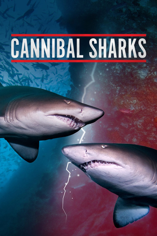 Cannibal Sharks (2019) poster