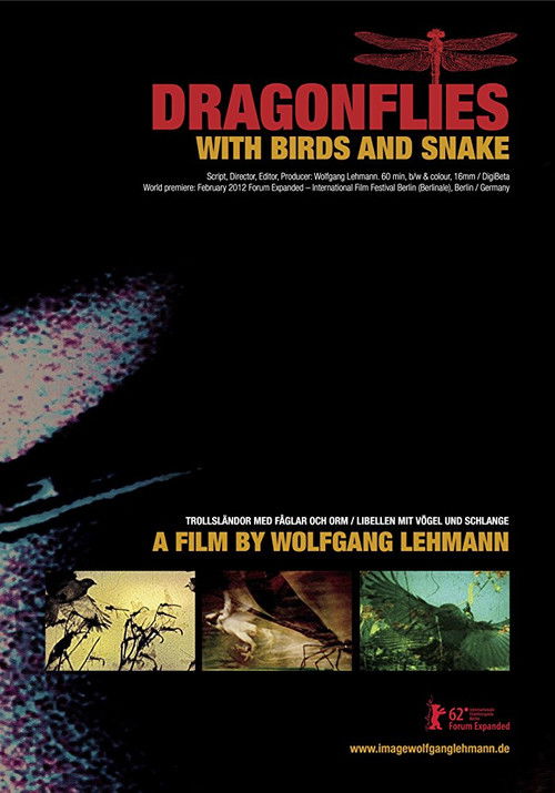 Dragonflies with Birds and Snake (2012) poster