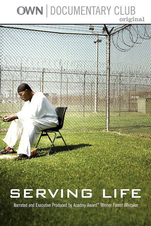 Serving Life (2011) poster