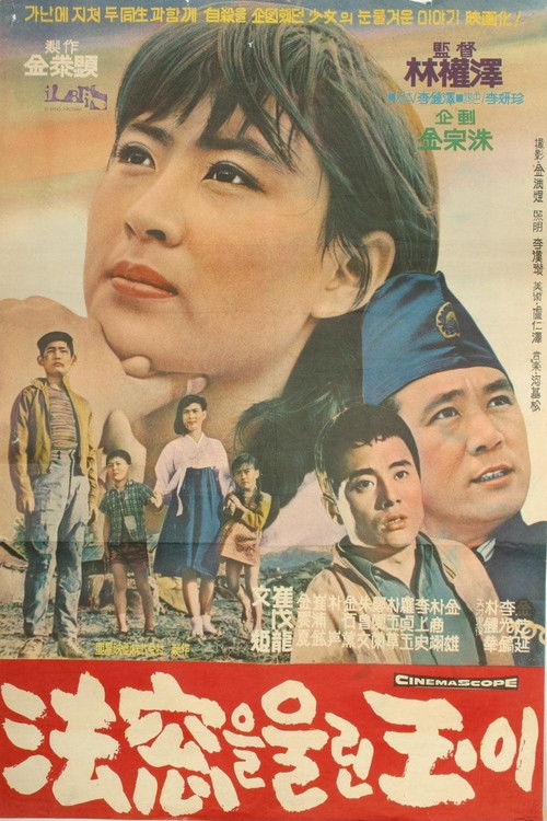 Ok-i Makes a Judge Cry (1966) poster