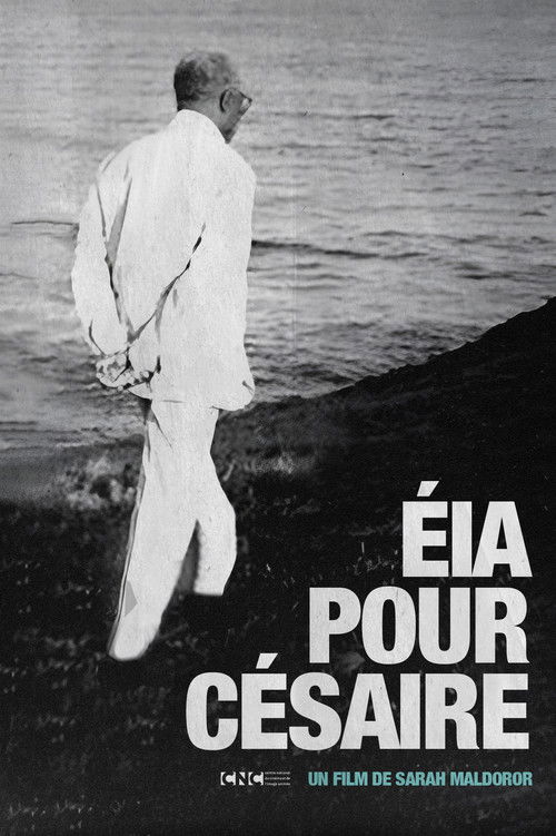 Papa Césaire (2009) poster