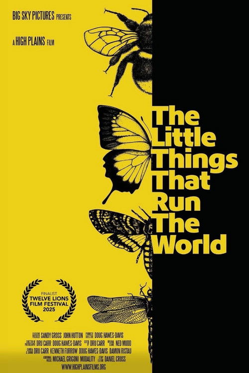 The Little Things that Run the World (2025) poster
