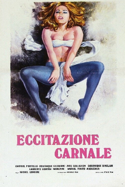 Excitation au soleil (1978) poster
