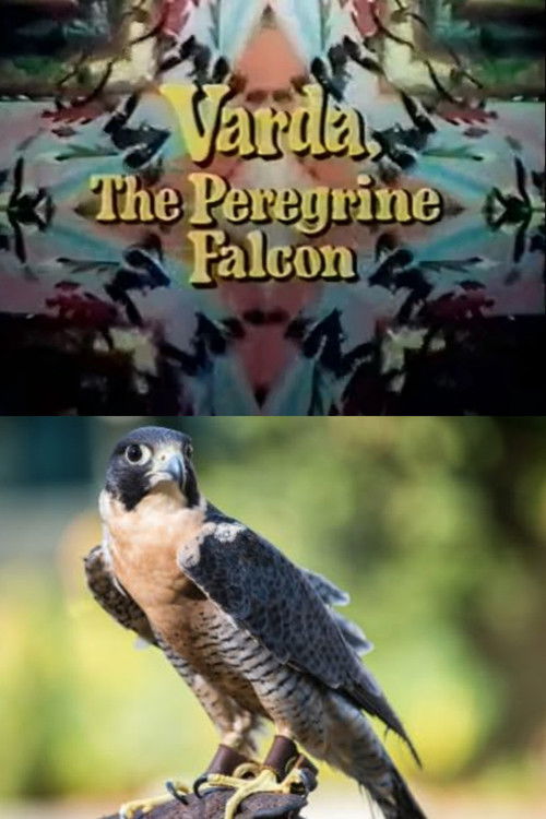 Varda, the Peregrine Falcon (1969) poster
