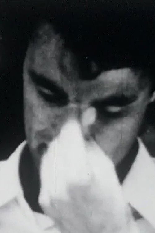 Life Is Beautiful (1966) poster