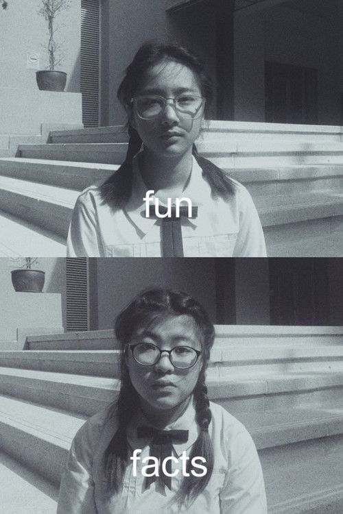 Fun Facts (2016) poster