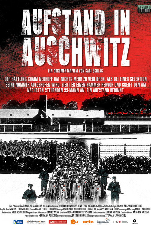 Aufstand in Auschwitz (2026) poster