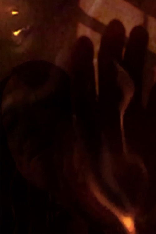 missing order (2017) poster