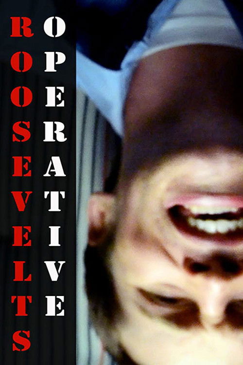 Roosevelt's Operative (2014) poster