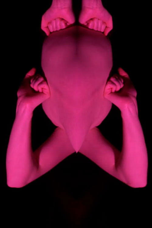 We Are Humans (2016) poster