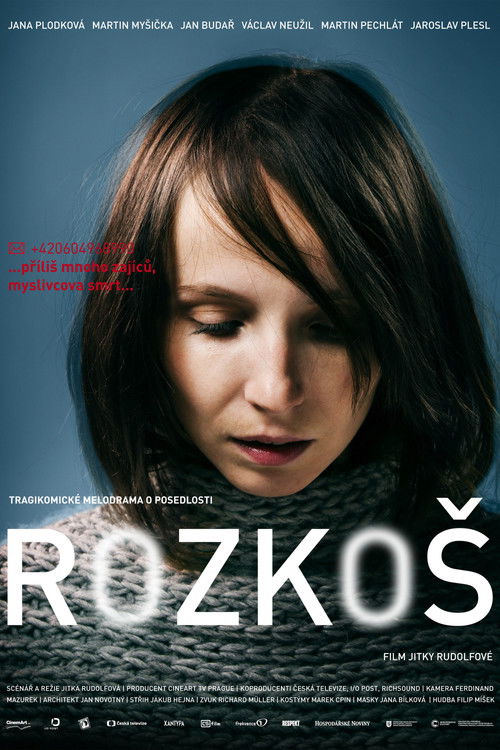 Rozkoš (2013) poster