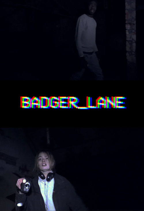 Badger Lane (2016) poster