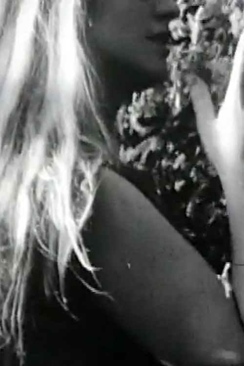 Fluid Landscape (2001) poster