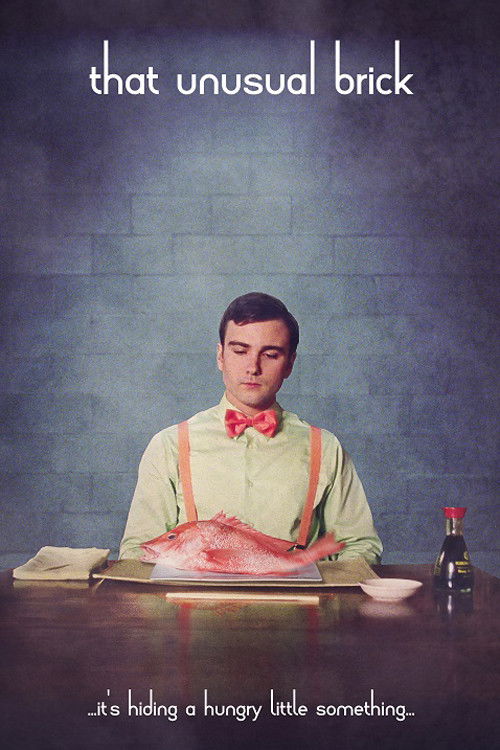 That Unusual Brick (2017) poster