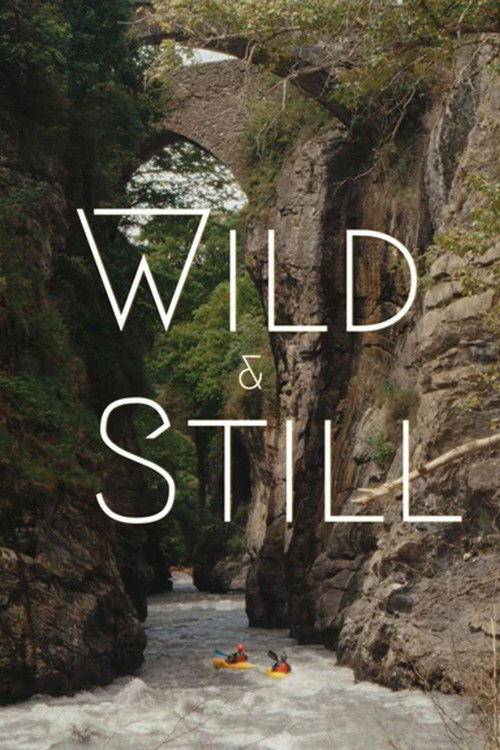 Wild & Still poster