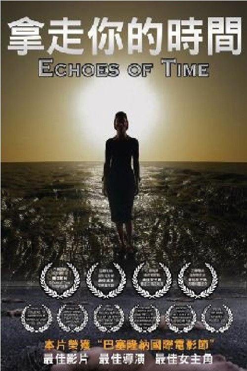 Echoes of Time (2014) poster