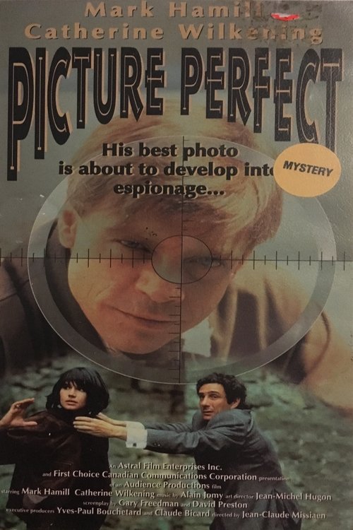 Picture Perfect (1993) poster